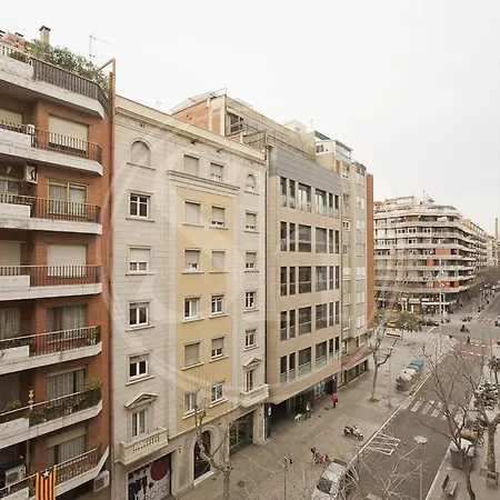 Borrell * Barcelona